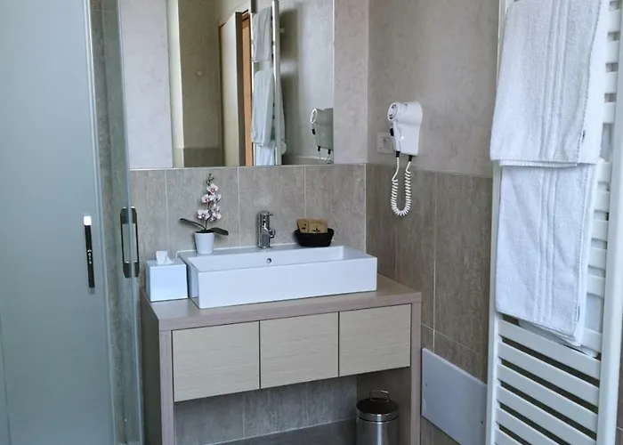 赫尔维蒂亚酒店 3* 勒泽诺